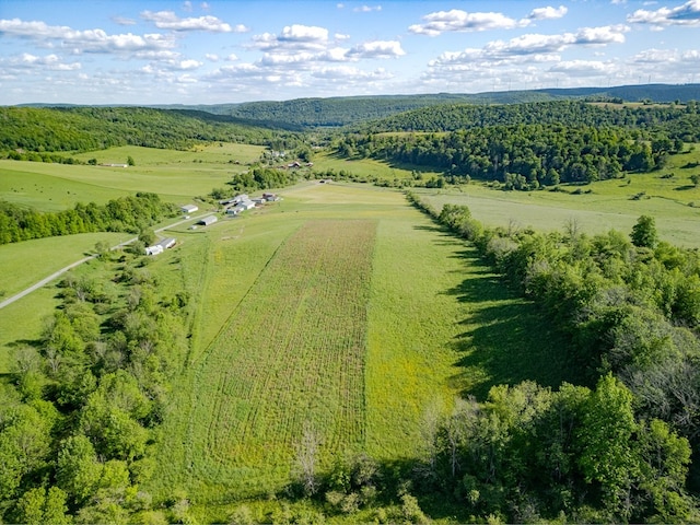 birds eye view of property with a rural view