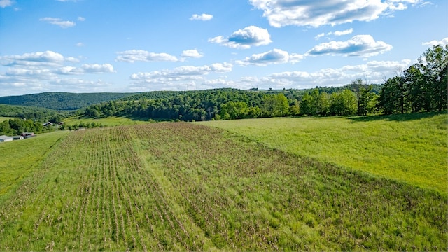 view of yard featuring a rural view