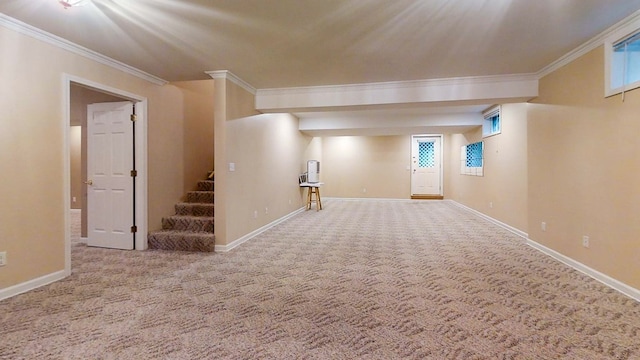 basement with crown molding and carpet