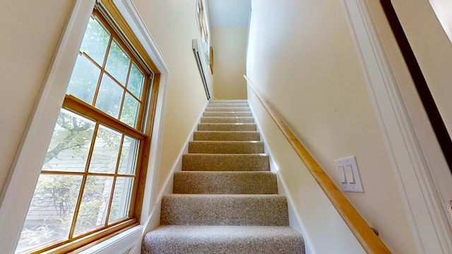 stairway with a wealth of natural light