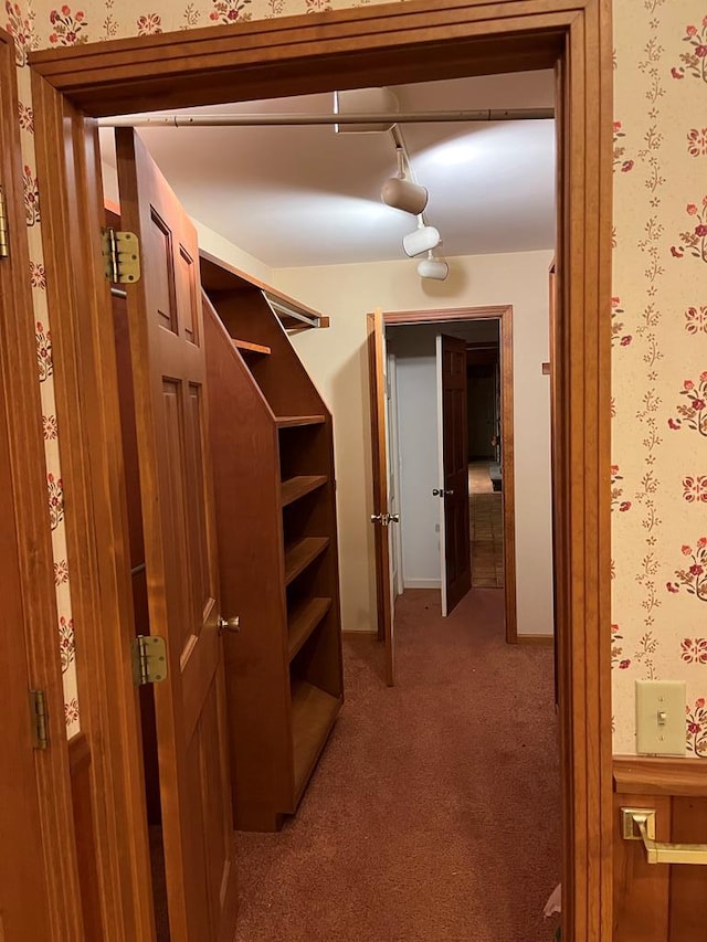 spacious closet with carpet floors