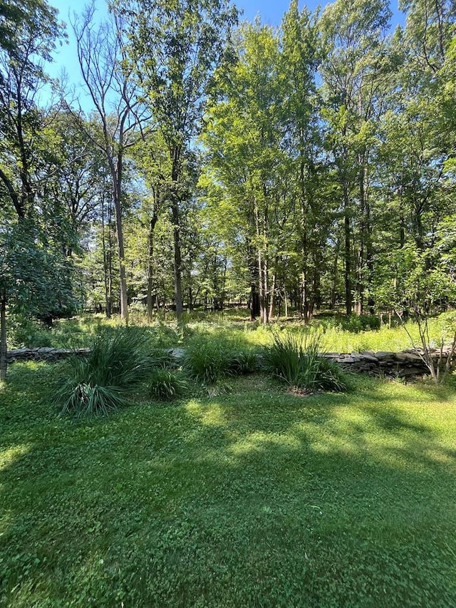 view of landscape