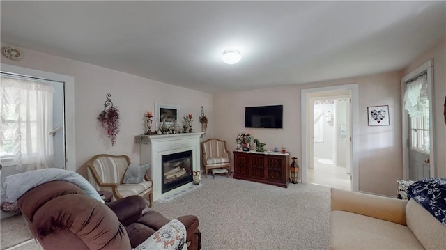 living room with carpet flooring