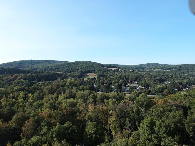 property view of mountains