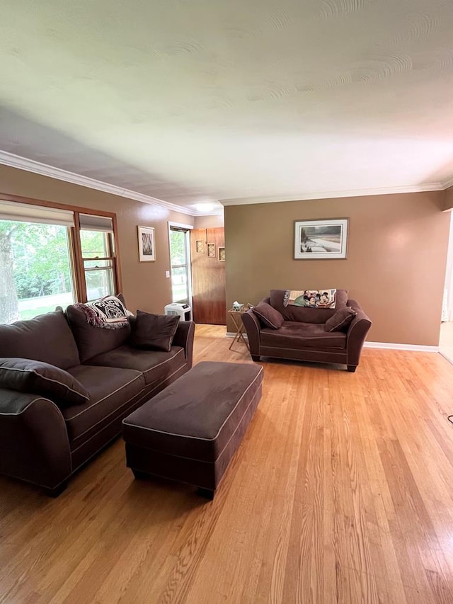 living room with crown molding and light hardwood / wood-style flooring