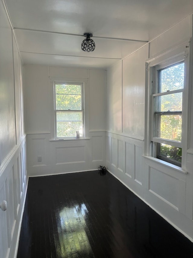 spare room featuring a wealth of natural light and hardwood / wood-style floors