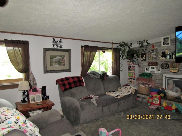 living room with ornamental molding, a textured ceiling, and carpet flooring