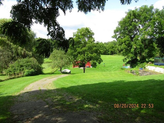 view of community with a yard