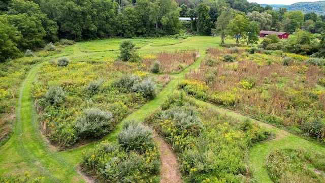 birds eye view of property featuring a rural view