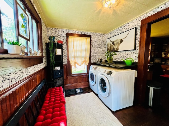 washroom with dark wood-type flooring and washing machine and clothes dryer