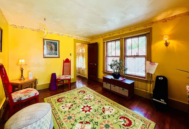 living area featuring dark wood-type flooring