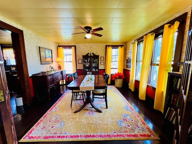 dining area with ceiling fan and dark wood-type flooring