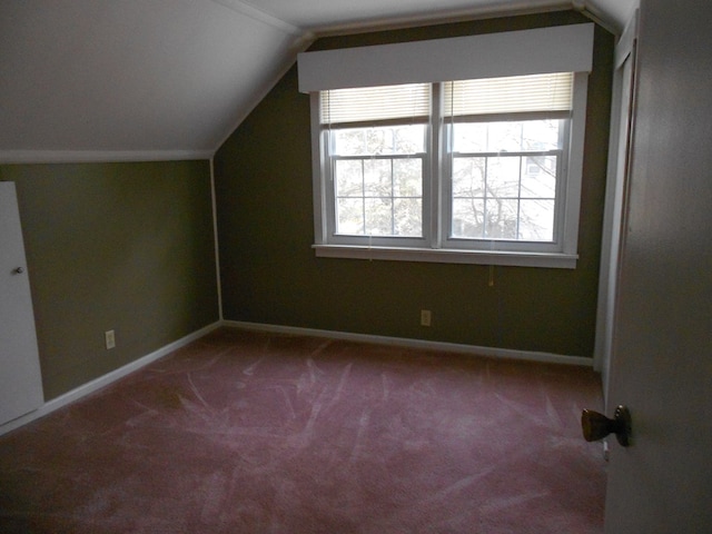 additional living space with vaulted ceiling and carpet floors