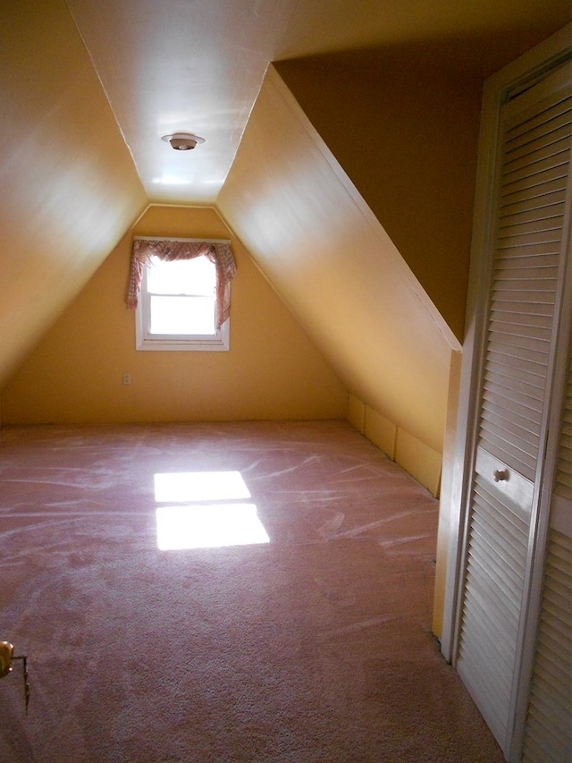 additional living space with light colored carpet and vaulted ceiling