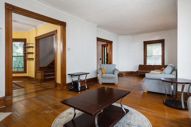 living room featuring crown molding and dark wood-type flooring