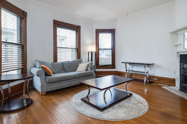 living room featuring crown molding and dark hardwood / wood-style floors