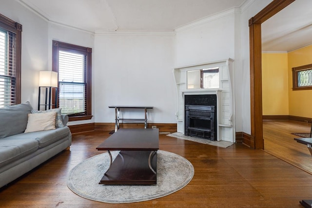 living room featuring crown molding and dark hardwood / wood-style flooring