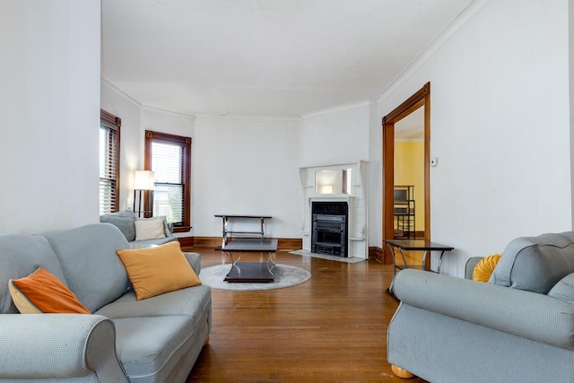 living room with crown molding and hardwood / wood-style floors