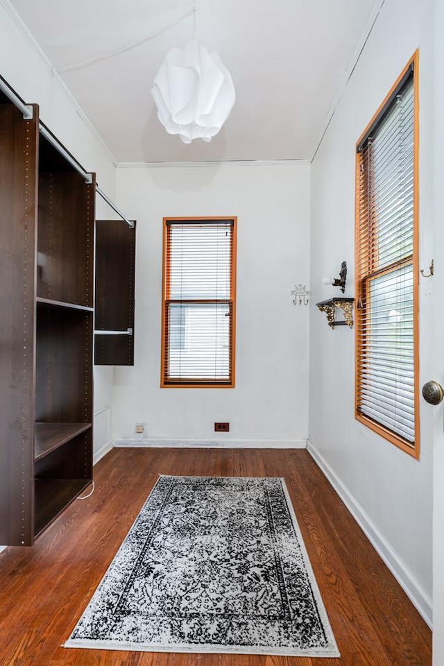 interior space with ornamental molding and dark hardwood / wood-style floors