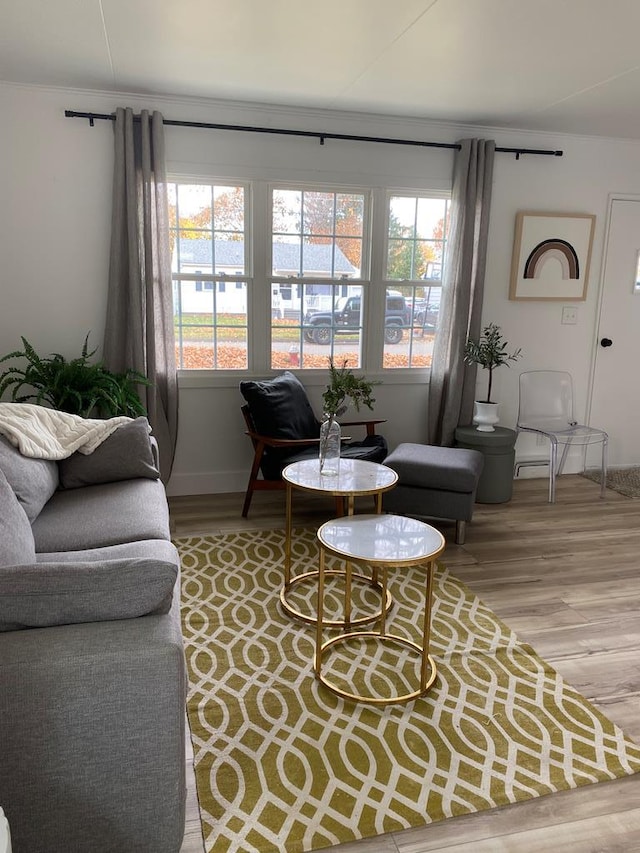 living room with hardwood / wood-style flooring