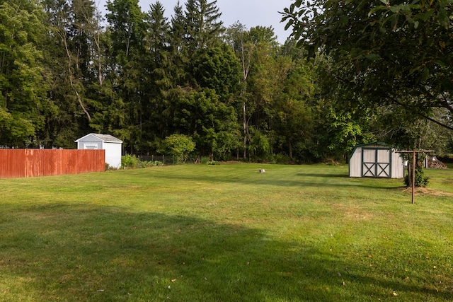 view of yard featuring a shed