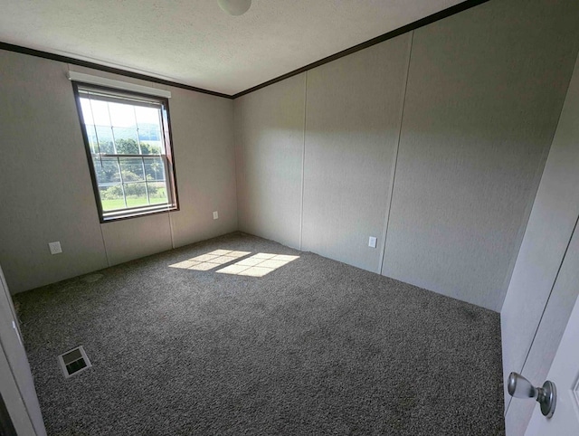 carpeted empty room featuring crown molding and a textured ceiling