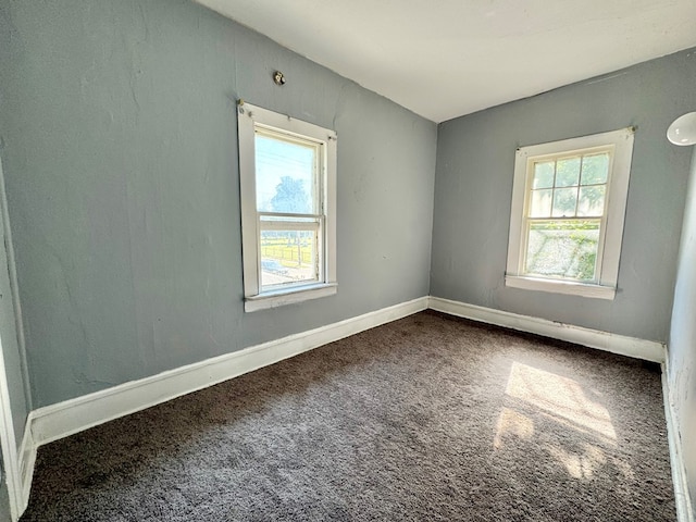 spare room with carpet and a wealth of natural light