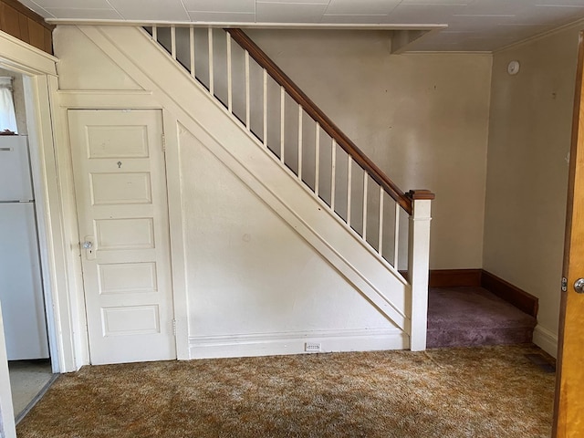 stairway featuring carpet