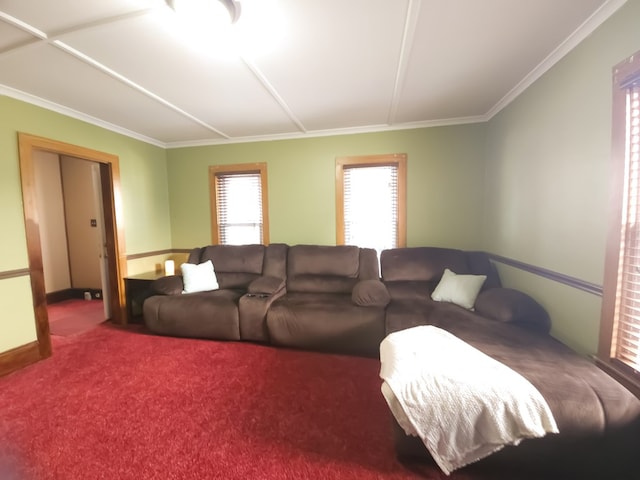 living room featuring carpet flooring and crown molding