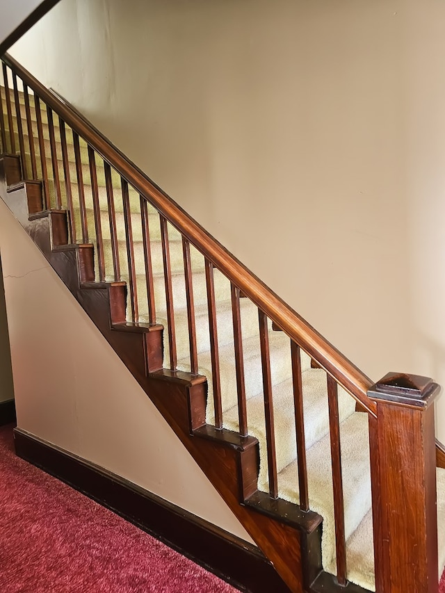 staircase with carpet floors