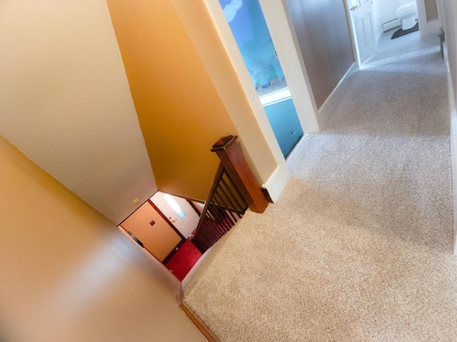 stairway featuring carpet floors