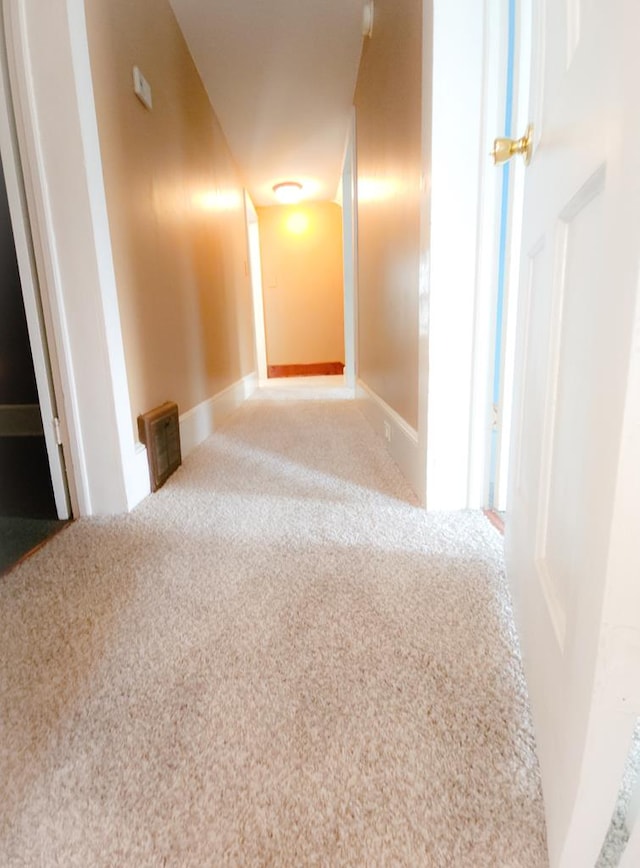 corridor featuring carpet floors