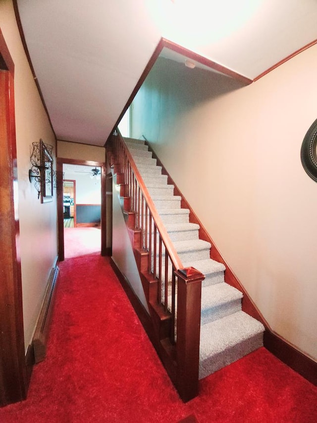 stairway with ceiling fan, carpet floors, and a baseboard heating unit