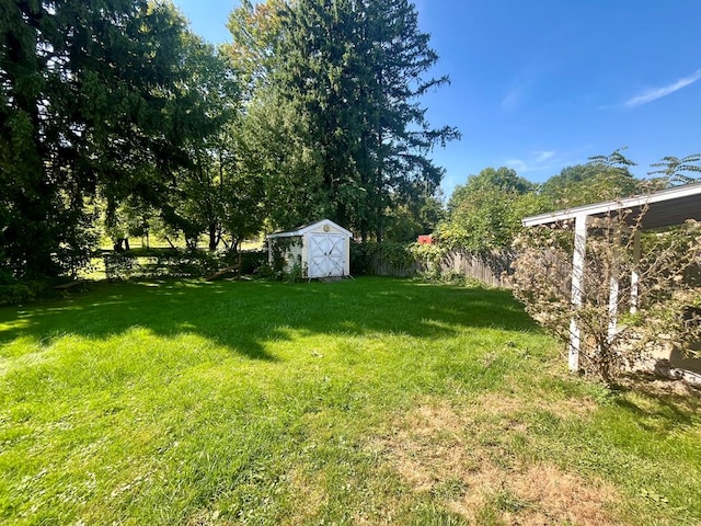 view of yard featuring a storage shed