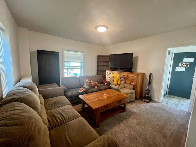 living room with carpet floors