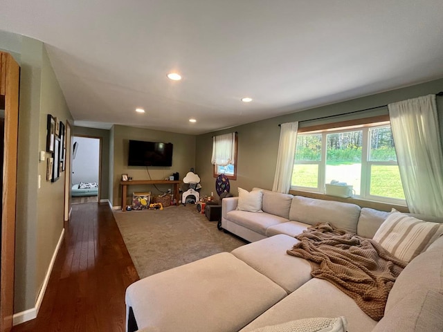 living room with dark wood-type flooring