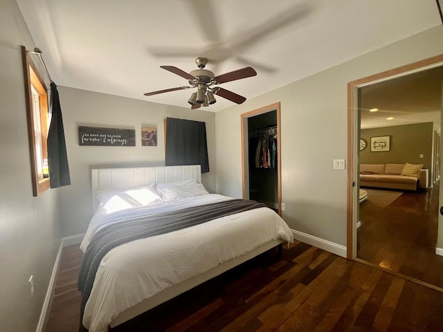 bedroom with dark hardwood / wood-style flooring, ceiling fan, a spacious closet, and a closet