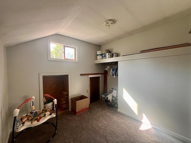 interior space featuring carpet and vaulted ceiling