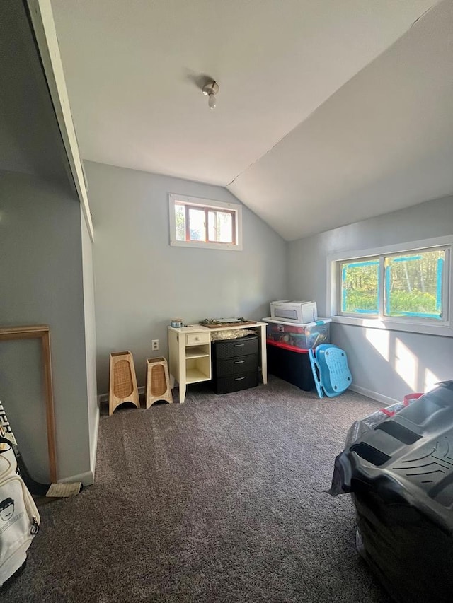 carpeted bedroom featuring a closet and lofted ceiling