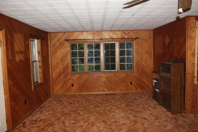 spare room featuring carpet flooring and wood walls