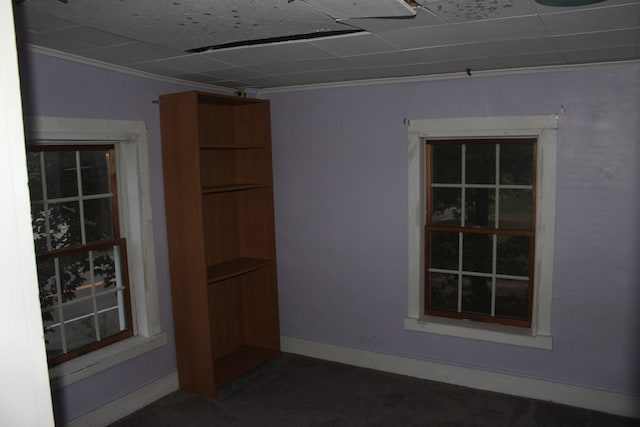 spare room featuring crown molding