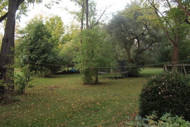 view of yard featuring a trampoline