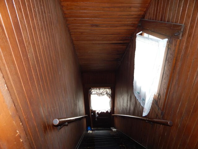 stairway featuring wooden ceiling and wood walls