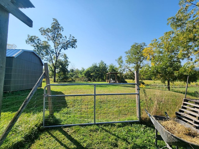 view of yard featuring a storage unit