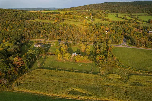 bird's eye view featuring a rural view