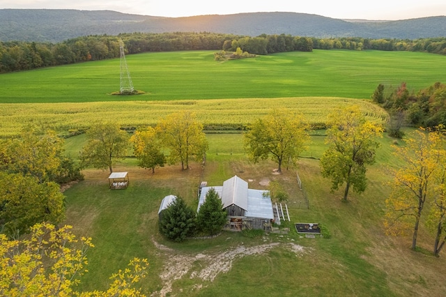 birds eye view of property with a mountain view and a rural view