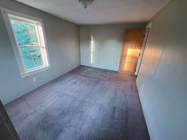 spare room featuring carpet floors and a textured ceiling