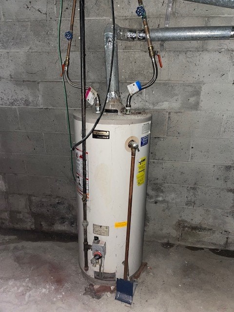 utility room with gas water heater