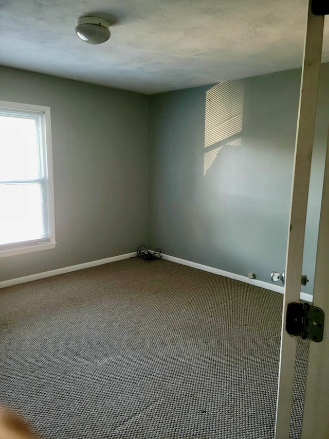 empty room featuring carpet and a textured ceiling