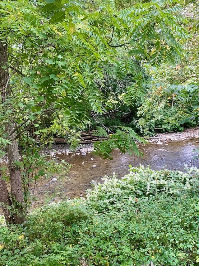 view of local wilderness with a water view